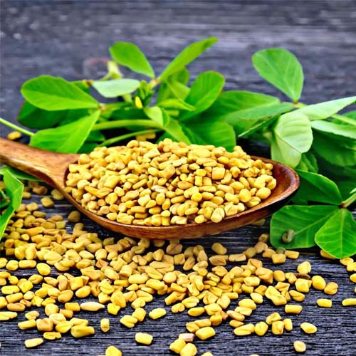 Fenugreek Oil